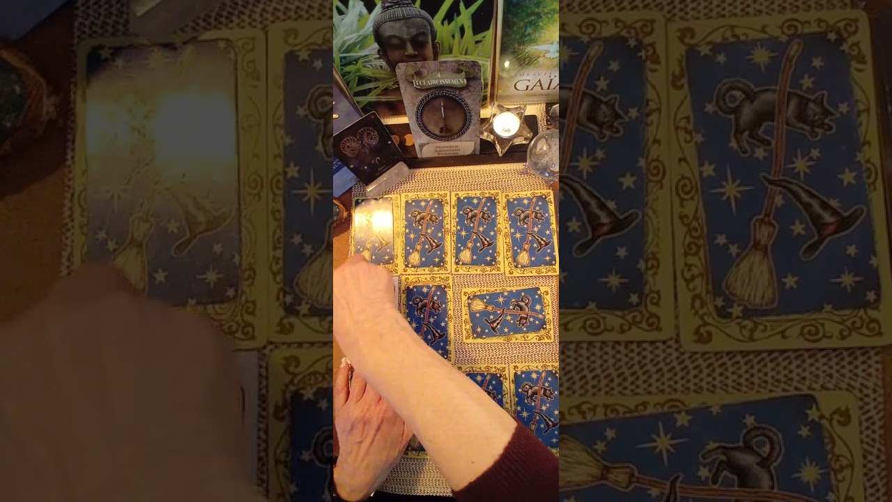 BÉLIER 2ème quinzaine de FÉVRIER 2026.Vous savez où vous voulez aller, Go! 💕🌞💕