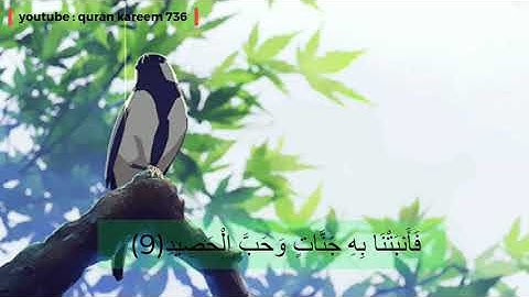 تلاوة خاشعة للقارئ اسلام صبحي ،سورة ق (حالات واتس اب )