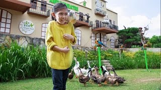 Download Lagu Eco Green Park [English Version] MP3