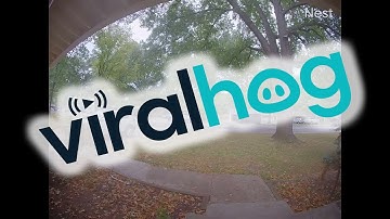 Doorbell Cam Catches Car