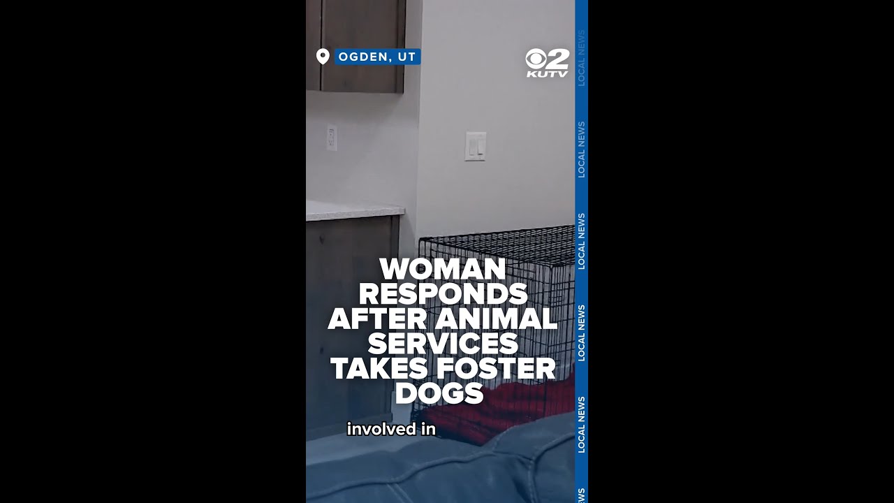 Dog fosterer speaks out after Weber County Animal Services takes foster dogs