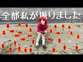 連休前だし潮干狩り大漁の秘密を教えるね。ちなみに全部ハマグリです（超高級）