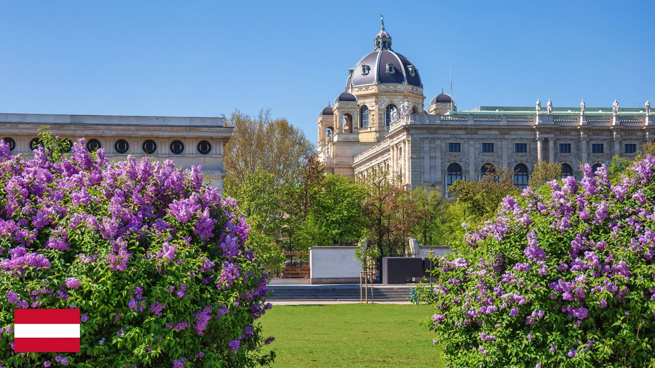 Vienna In The Spring VIENNA - Spring Day Walk through the breathtaking City 4K 60fps - YouTube