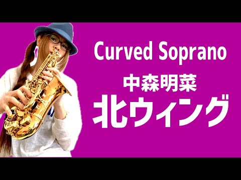 【北ウィング/中森明菜】カーブドソプラノ(Curved Soprano Sax) Cover