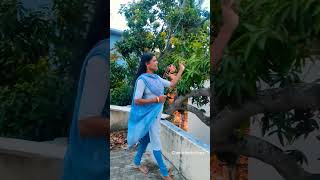 மாங்காய் 🥭🥭 எல்லாம் பறிச்சிட்டு போயாச்சு🥹 #shortsviral#shortvideo#gardening#garden#cherilcherbivlogs