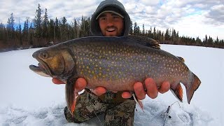 EPIC Day Ice Fishing for 3 Pound BROOK TROUT!! (CATCH & COOK!!)