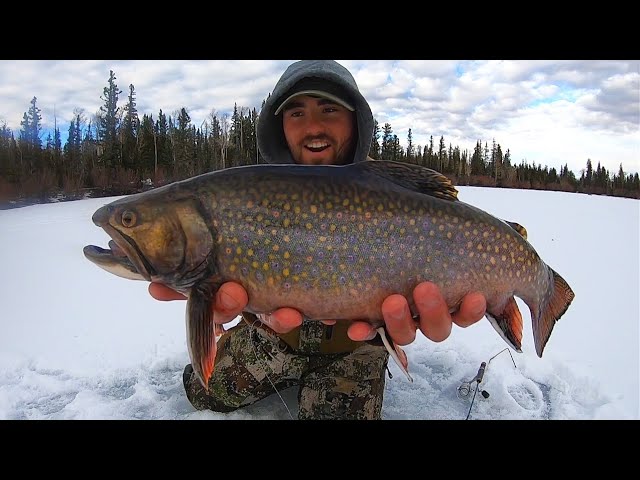 Ice Fishing for LAKE TROUT - How to ice fish for lake trout using a  JawJacker 