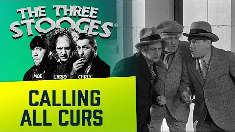 THREE STOOGES - Ep. 41 - Calling All Curs