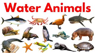 Water Animals in English and Hindi | Aquatic Animals | Ocean Animals  |Sea Animals | #animals #hindi