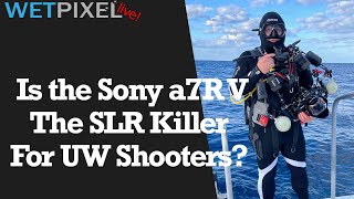 Is the Sony a7RV the SLR Killer for Underwater Image Makers?