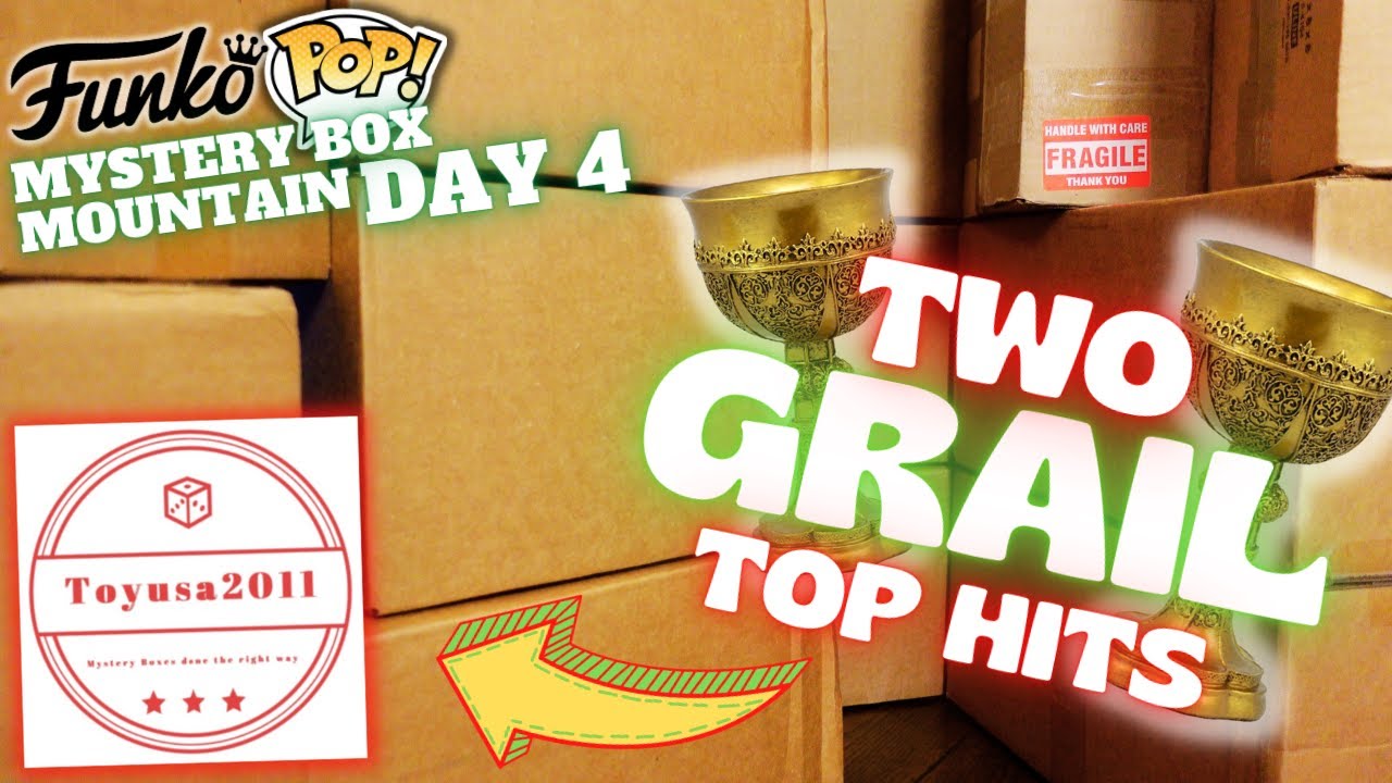 TWO GRAIL FUNKO POPS FROM TOYUSA Funko Pop Mystery Boxes Ranking 