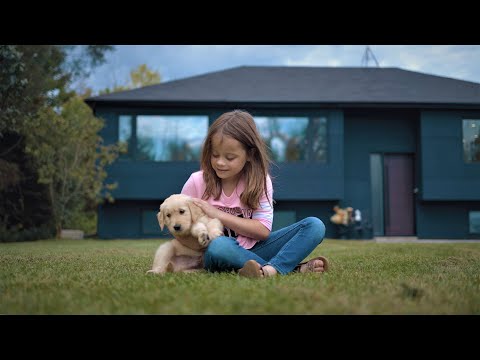 Panorama Windows & Doors Commercial