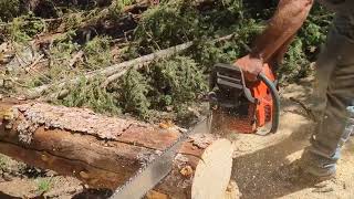 Husqvarna 585 xp vs 372xp ported and piped saws finding the desired power band