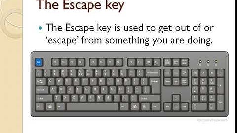 Grade 2-Computer Science-Yamuna-Chapter 4 -Video 3