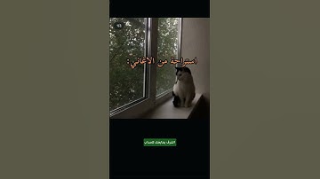 احترم القرآن المده 60 ثانيه❤😍  #تلاوة_خاشعة#قرآن_كريم#قرآن #اكسبلور#احرص_أن_لا_تنقطع_حسناتك