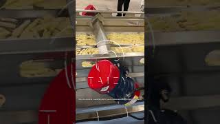 Fully Automatic French Fries Processing Line | Half Fried Potato French Fries Line