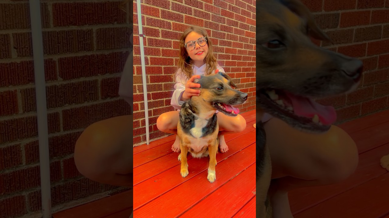 Wiggle wiggle wiggle your ears ... 🐶