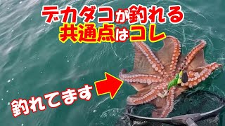 明石タコ釣りに！ERAN OCTOPUS WIDE 右巻き 明石タコ釣りに！ERAN OCTOPUS WIDE 右巻き