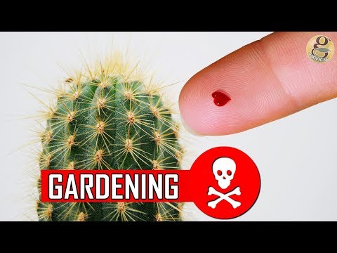 Video: Gezonde tuintips: gezonde en veilige tuiniergewoonten handhaven