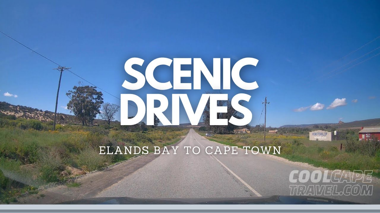 Scenic Drive South Africa Elands Bay to Cape Town during bloom time in ultra high definition