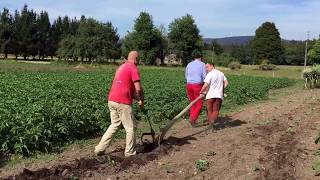 &quot;Boys rurales&quot; modernos, ¿una contradicción en sí misma?