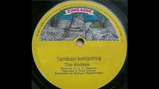 Tambayi kongonya
