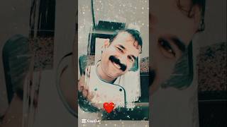 Summer Vibes #shortsfeed #shortvideos #love #entertainment #hollyday #europe