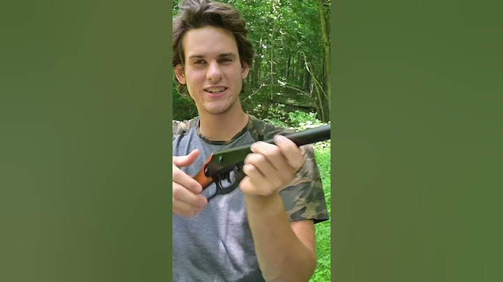Hunting with Walmart's Cheapest BB Gun!!
