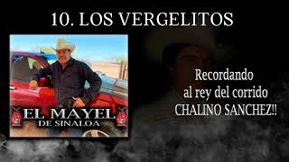 Los Vergelitos - El Mayel de Sinaloa 2023 (en vivo)