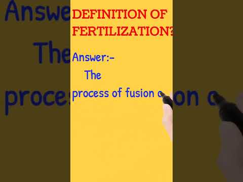 Video: Wat betekent de term bevruchting?