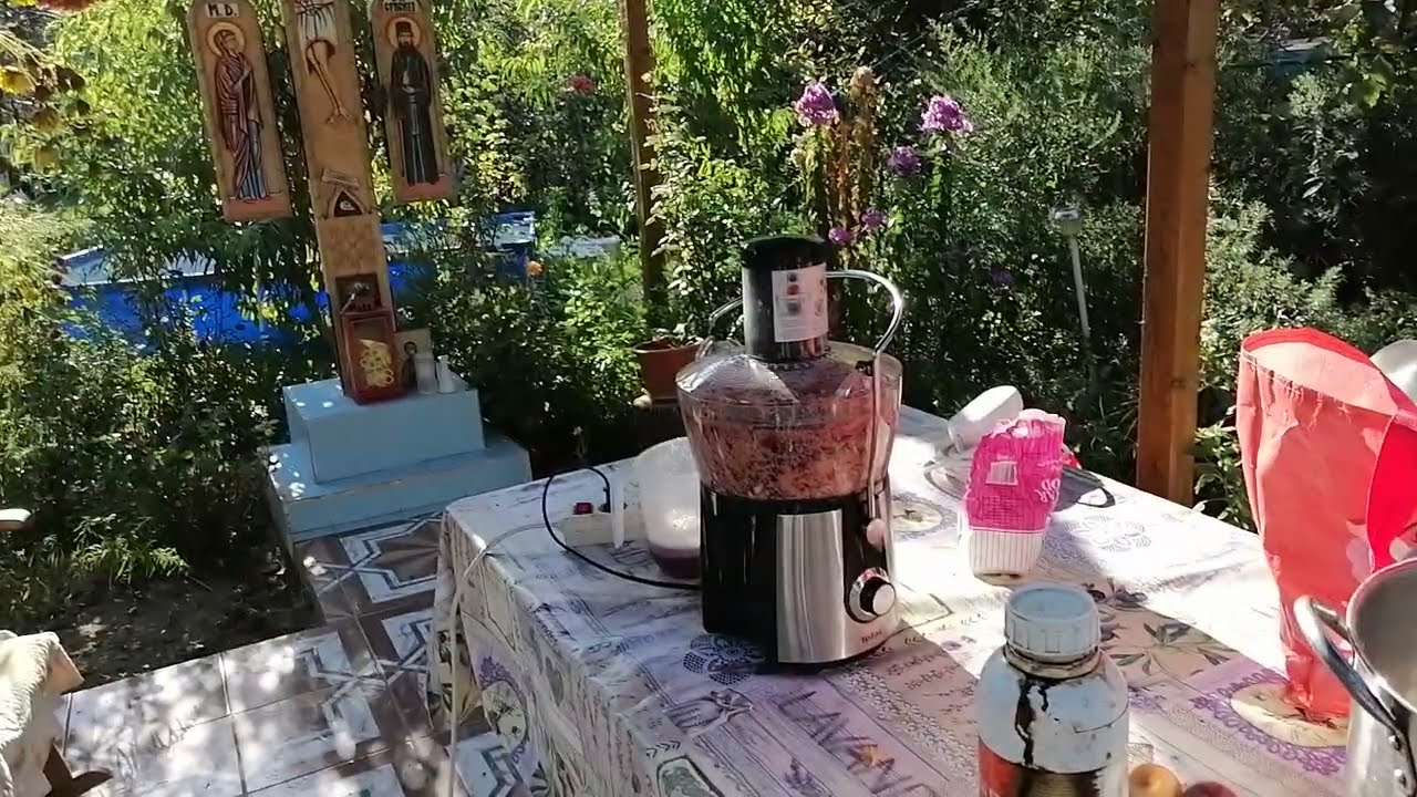 Preparare sirop cu ceapa pentru albine