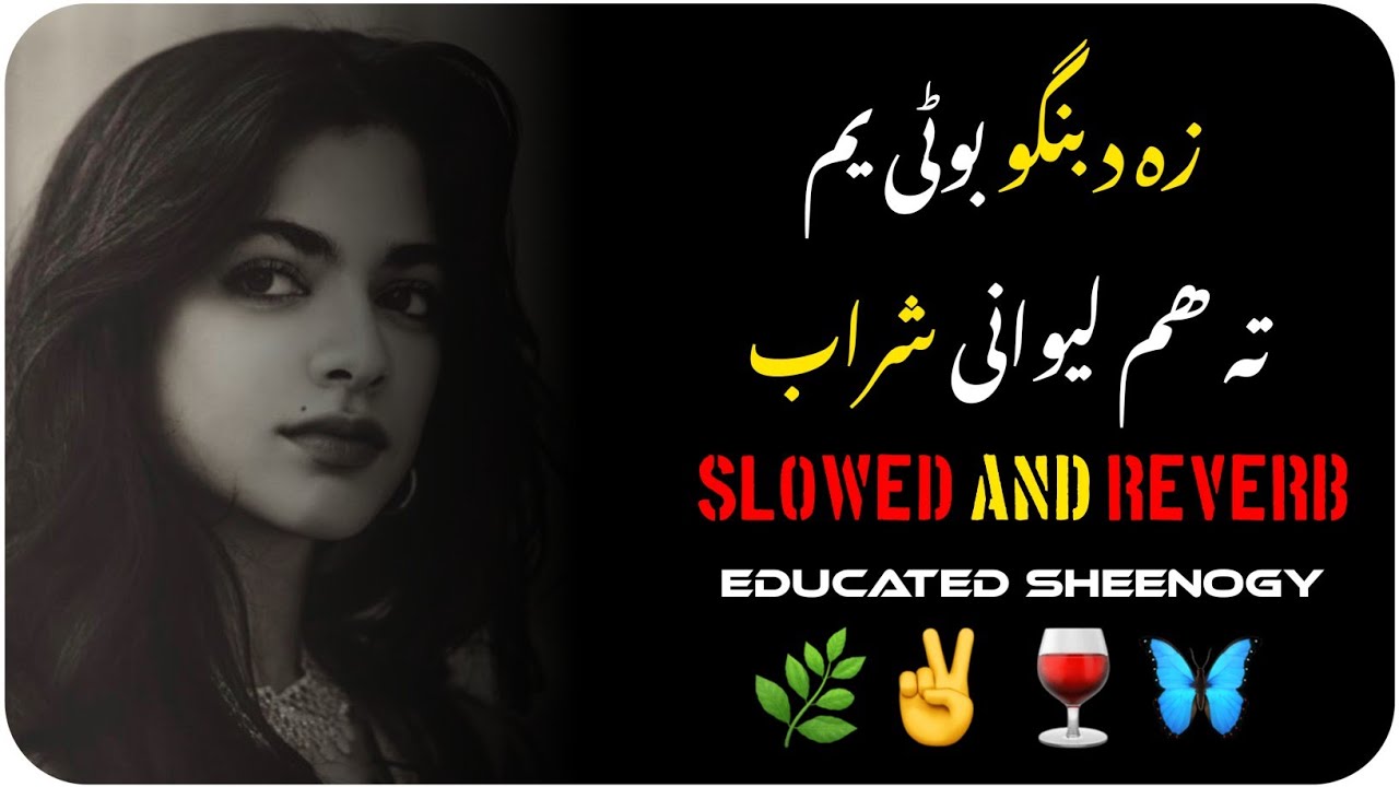 Jam we Ka Pyaally Sharab|| Pashto New Song||Pashto Slow And Reverb||Educated Sheenogy||Pashto Song