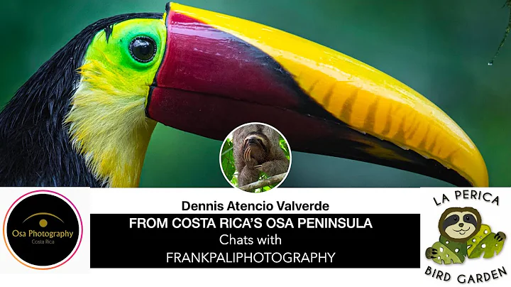 FrankPaliPhotogr...  CHATS WITH DENNIS FROM OSA PH...