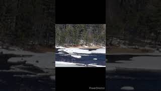 Eliminating Chlamydia Trachomatis