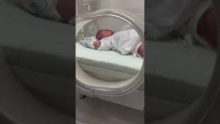Twin babies #twins #incubator #babies s