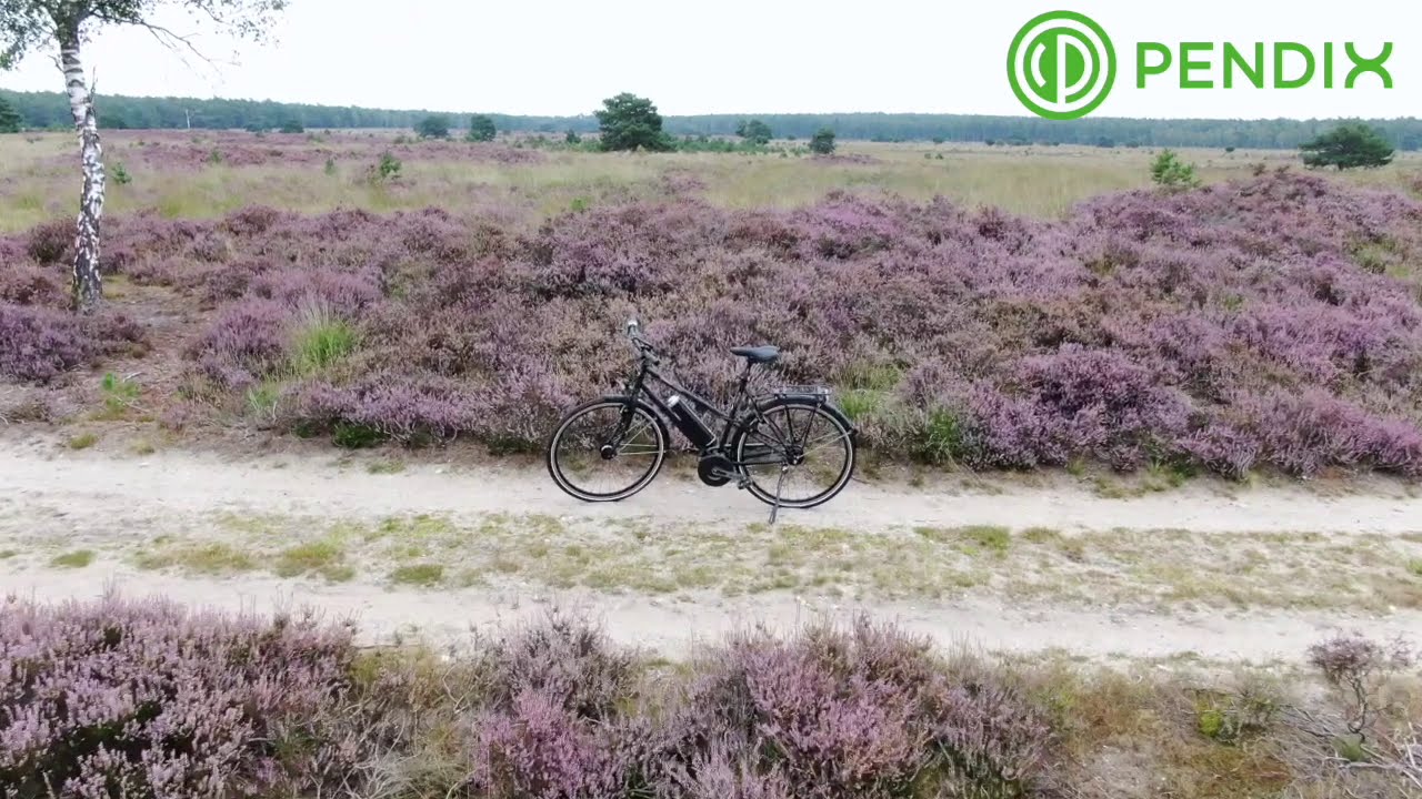 Pendix eDrive Zoom in   HD 720p