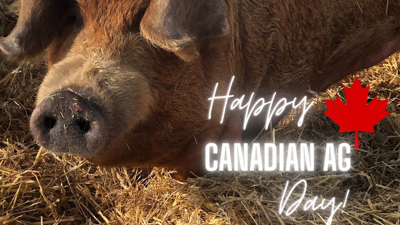 CANADIAN AG DAY! What we do, and what it means to us.