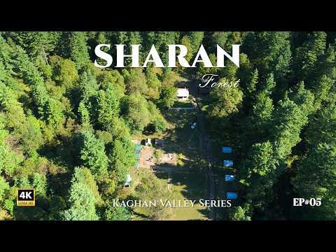 Sharan Forest & Manshi Top Trek | Pakistan's Hidden Paradise in Kaghan Valley 🇵🇰