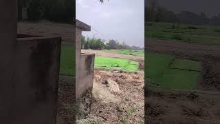 #bhojpuri #song#viral #odhani ke cour se #viralvideo