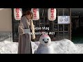 삿포로 브이로그 / 나의 첫 삿포로 겨울 여행 브이로그 / 1편 먹방과 꿀팁 Sapporo Travel Vlog