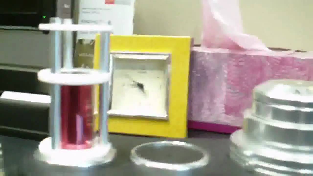 6 Your Diamonds set in the wax .avi YouTube