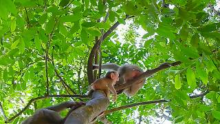 Celebrity Thanks to God for helping little baby Levy. Rainbow almost caused a big problem Wealth