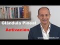 Como activar la glándula pineal conscientemente