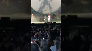 IMG 1691