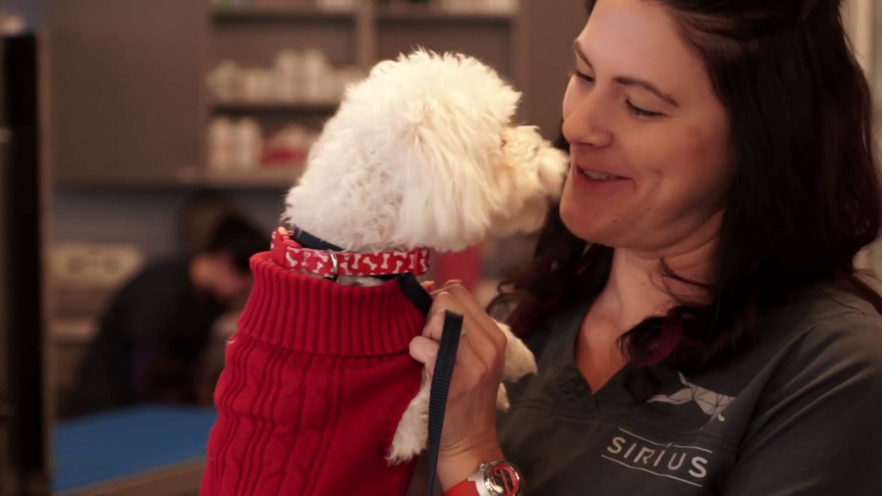 Sirius Veterinary Orthopedic Center- Omaha, NE #Orthopedicsurgery Sirius Veterinary Orthopedic Center- Omaha, NE #Orthopedicsurgery