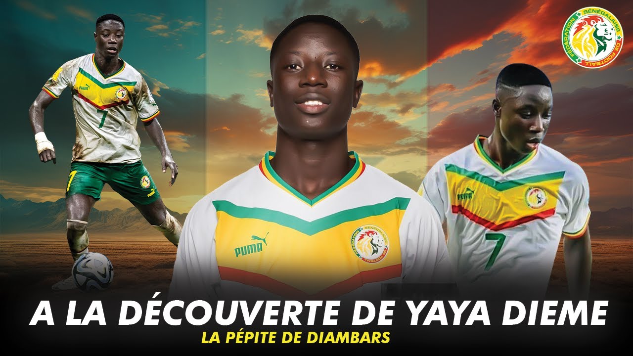 Dieme A la découverte Yaya Diémé : le nouveau joyau de l'Institut Diambars ...