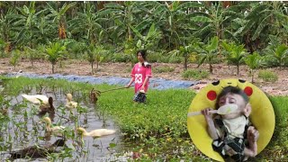 Monkey Nahu helps his grandmother release ducks in the field