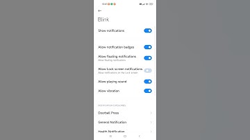 Blink App: Settings menu (notification options)