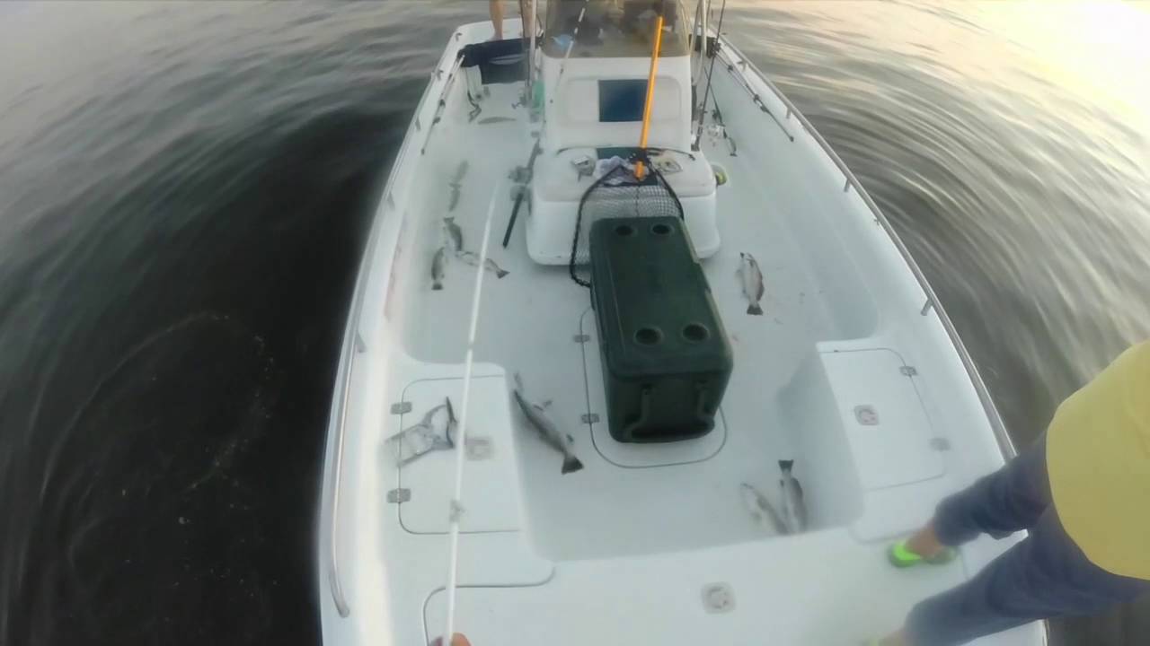 Topwater speck fishin' Dularge, Louisiana YouTube