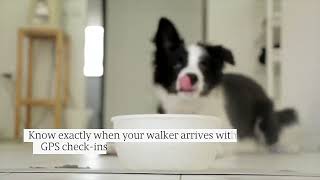 Wake Forest, NC Dog Walking Service: GPS Tracking & Plans For All Breeds & Energy Levels